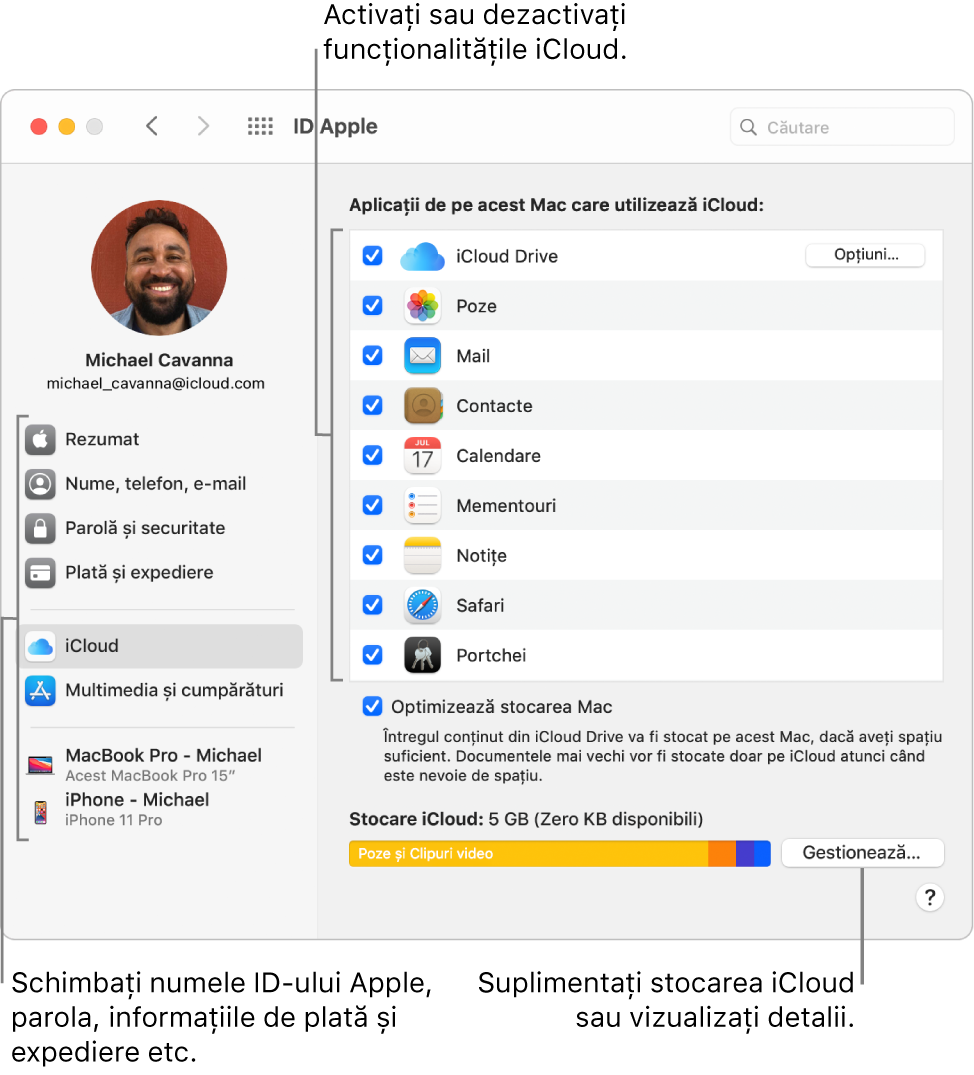 Preferințe iCloud cu toate funcționalitățile selectate.