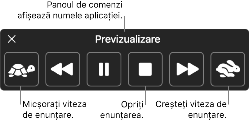 Panoul de comenzi de pe ecran care poate fi afișat atunci când Mac-ul enunță textul selectat. Panoul de comenzi conține șase butoane, de la stânga la dreapta, pentru micșorarea vitezei de enunțare, saltul înapoi cu o propoziție, redarea sau suspendarea enunțării, oprirea enunțării, saltul înainte cu o propoziție și creșterea vitezei de enunțare. Numele aplicației este afișat în partea de sus a panoului de comenzi.