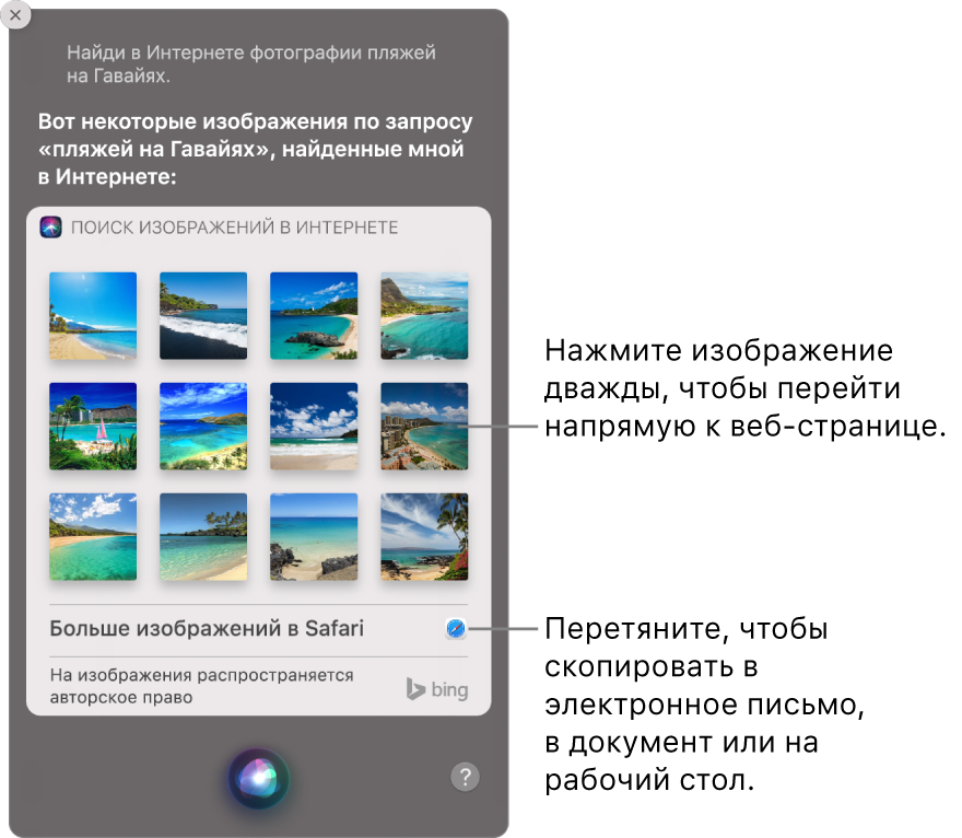 Окно Siri с результатами запроса «Найди в интернете фотографии пляжей на Гавайях». Можно дважды нажать изображение, чтобы открыть содержащую его веб-страницу, или перетянуть изображение в электронное письмо, в документ или на рабочий стол.