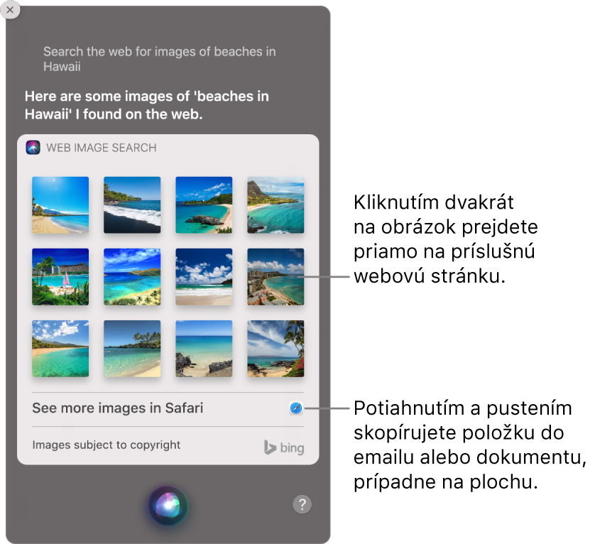 Okno Siri zobrazujúce výsledky Siri na požiadavku „Search the web for images of beaches in Hawaii“ (Vyhľadaj na webe obrázky pláží na Havaji). Dvojitým kliknutím na obrázok môžete otvoriť webovú stránku, ktorá daný obrázok obsahuje, alebo potiahnuť obrázok do emailu, dokumentu či na plochu.