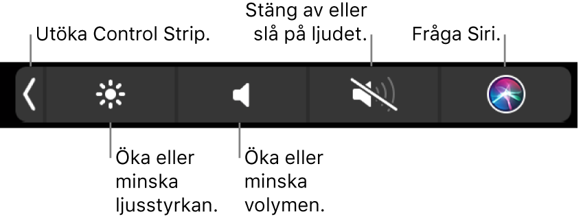 Hopfällda Control Strip innehåller knappar för att, från vänster till höger, utvidga Control Strip, öka eller minska ljusstyrkan på skärmen och volymen, stänga av eller slå på ljudet och fråga Siri.