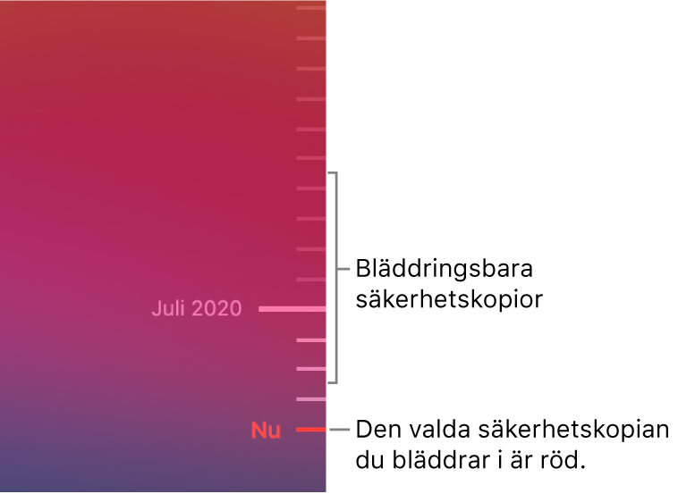 Gradstreck på tidslinjen för säkerhetskopiering. Den röda bockmarkeringen visar vilken säkerhetskopia du bläddrar i.