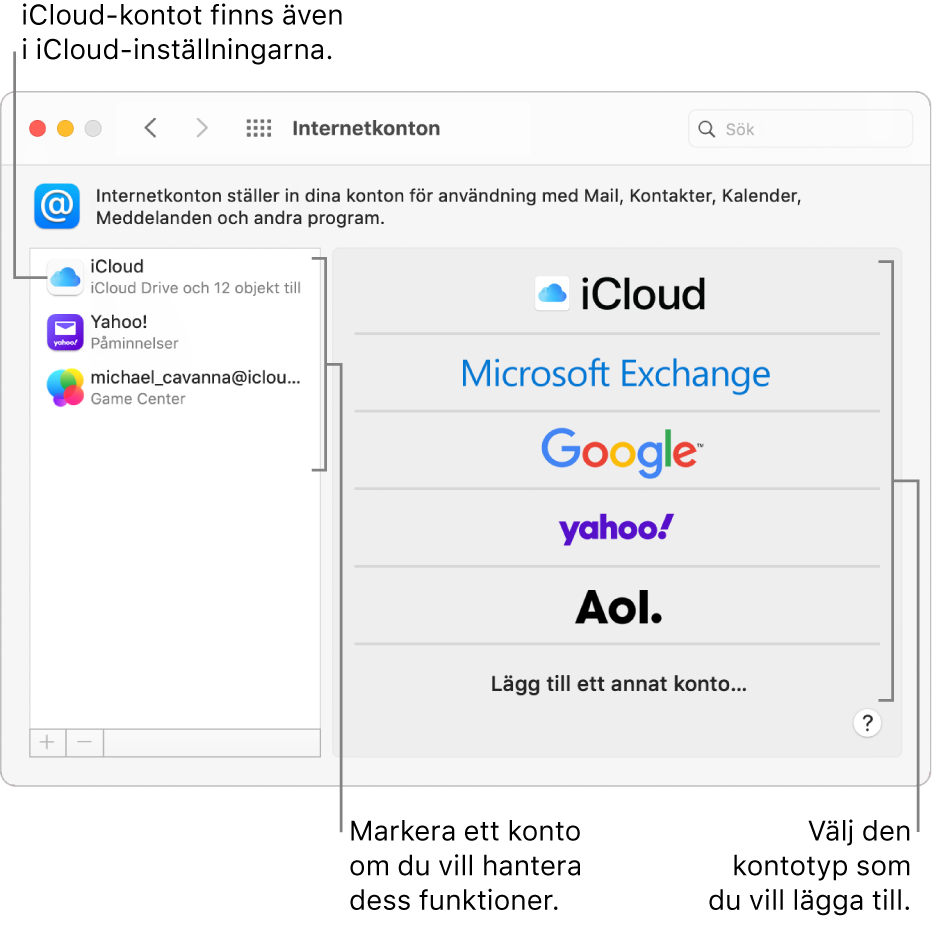Inställningspanelen Internetkonton med konton i listan till höger och tillgängliga kontotyper i listan till vänster.