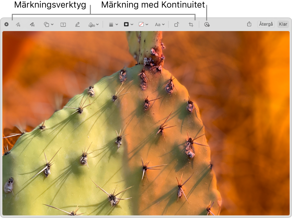 En bild i fönstret Märkning med verktygsfältet för Märkningsverktyg och verktygen som användaren klickar på för att använda Kontinuitetsmärkning på en iPhone eller iPad i närheten.