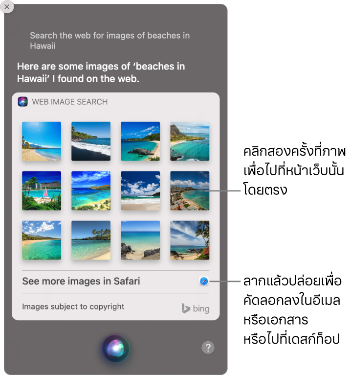 หน้าต่าง Siri ที่แสดงผลการค้นหา Siri ของคำขอ “หารูปชายหาดพัทยาในเว็บ” คุณสามารถคลิกสองครั้งที่ภาพเพื่อเปิดหน้าเว็บที่มีภาพ หรือลากภาพไปยังอีเมลหรือเอกสาร หรือไปยังเดสก์ท็อปได้