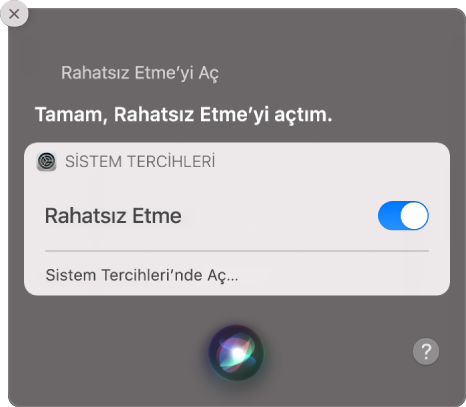 Görevi tamamlama isteğini gösteren Siri penceresi, “Rahatsız etme’yi aç.”