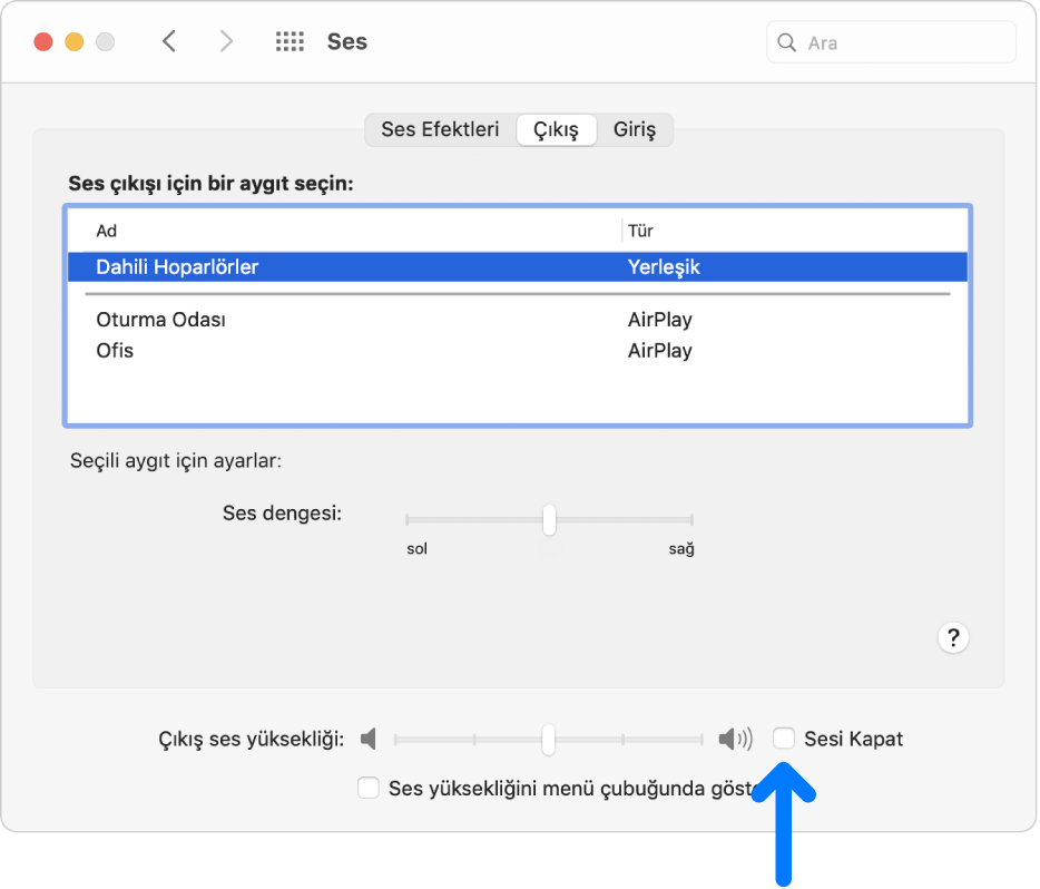 Sessiz onay kutusu, Ses tercihleri bölümünün alt kısmındadır.