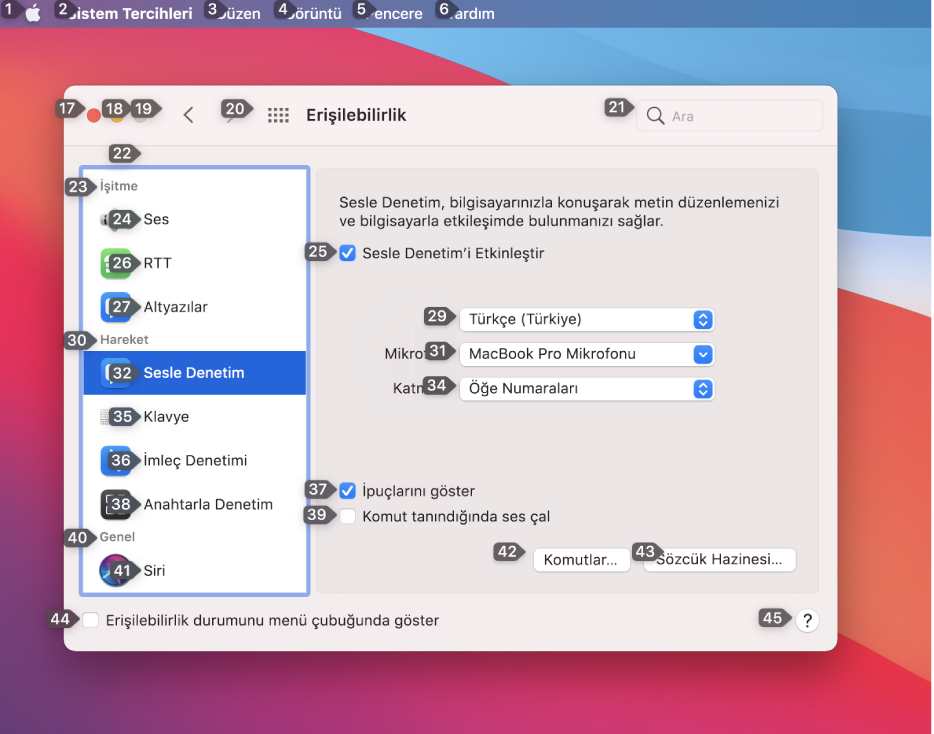 Menü çubuğunun, menü çubuğundaki her öğenin yanında bir numara gösteren sol bölümü. Alt tarafta, Erişilebilirlik tercihlerinin, her kullanıcı arayüzü denetiminin yanında bir numara gösteren Sesle Denetim bölümü.