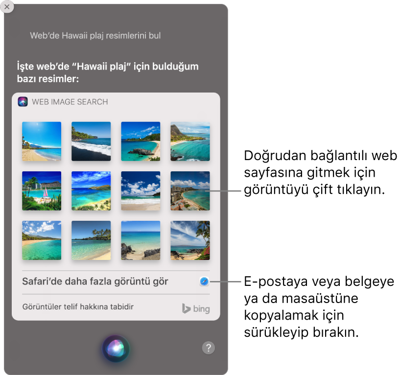 “Web’de Hawaii kumsallarının görüntülerini ara” isteğine verilen Siri sonuçlarının gösterildiği Siri penceresi. Görüntüyü çift tıklayarak onu içeren web sayfasını açabilir veya görüntüyü bir e-postaya, belgeye ya da masaüstüne sürükleyebilirsiniz.