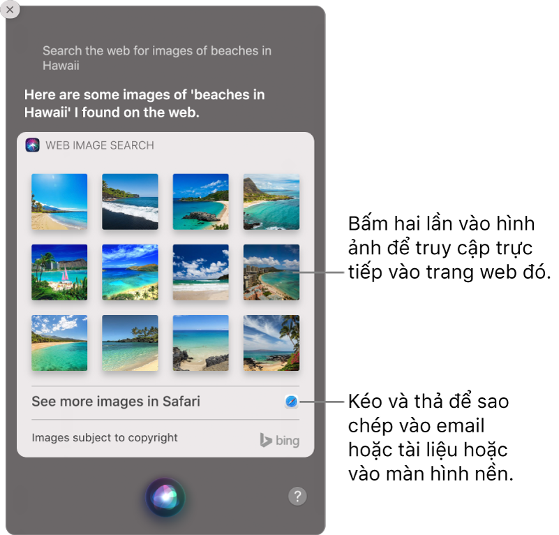 Cửa sổ Siri đang hiển thị các kết quả của Siri cho yêu cầu “Search the web for images of beaches in Hawaii”. Bạn có thể bấm hai lần vào hình ảnh để mở trang web chứa hình ảnh hoặc kéo hình ảnh vào email hoặc tài liệu hoặc vào màn hình nền.