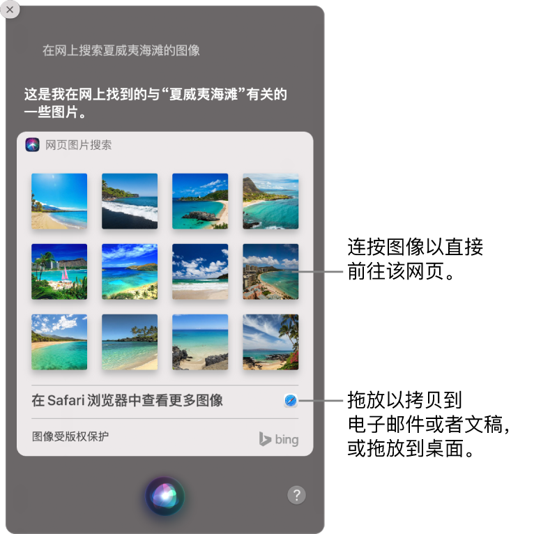 显示 Siri 请求（“上网查找夏威夷海岸的图片”）结果的 Siri 窗口。您可以连按图像以打开包含该图像的网页，或者将图像拖到电子邮件或文稿中，或者拖到桌面上。