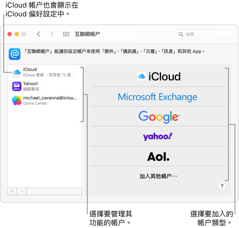 互聯網帳户偏好設定，其右側列出 iCloud 和 Twitter 帳户，而左側則列出可使用的帳户類型。