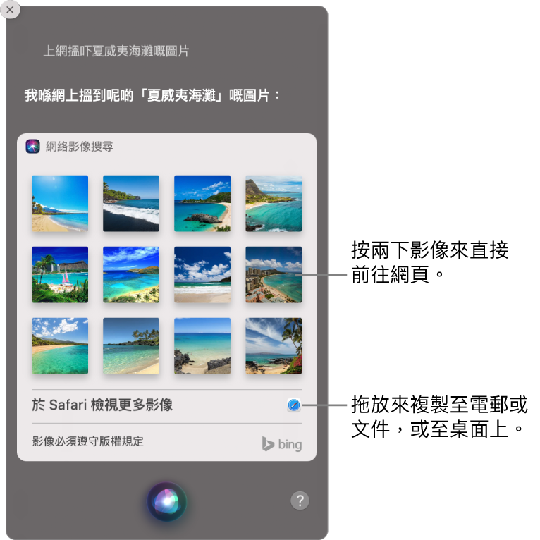 Siri 視窗顯示要求「上網搵吓夏威夷嘅海灘圖片」的 Siri 結果。你可以按兩下影像來開啟包括影像的網頁，或將影像拖至電郵、文件或桌面中。