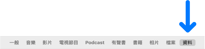 按鈕列顯示已選取「資料」。