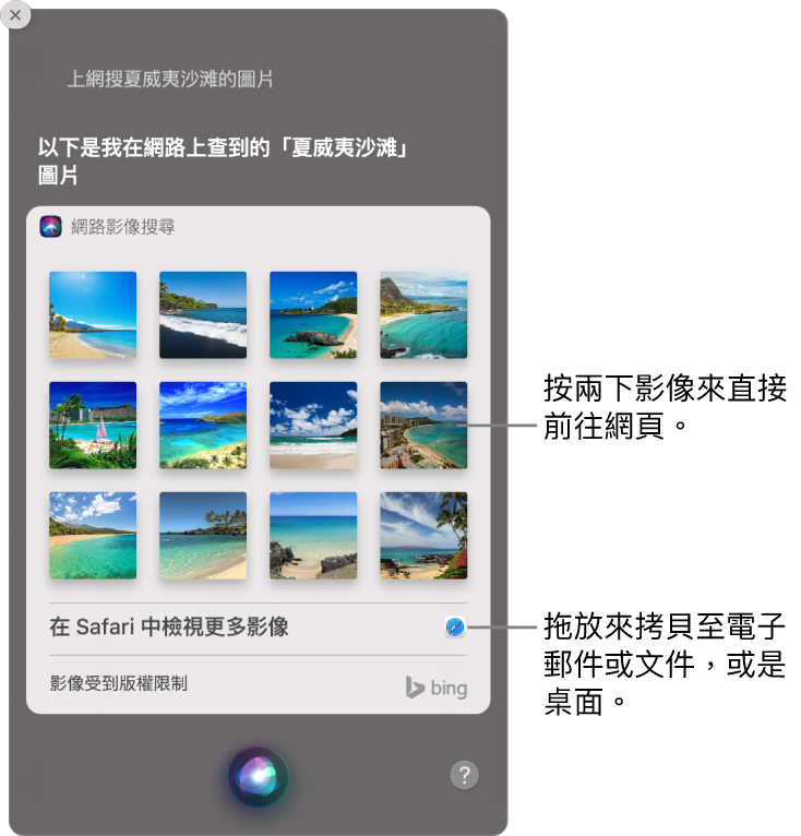 Siri 視窗，顯示針對您所提出詢問「上網搜尋夏威夷海灘的圖片」得到的 Siri 結果。您可以按兩下影像來打開包含影像的網頁，或者將影像拖至電子郵件、文件或桌面中。