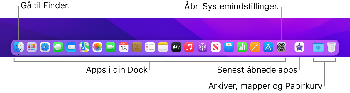 Et billede af Dock med Finder, Systemindstillinger og skillelinjen i Dock, der adskiller apps fra arkiver og mapper.