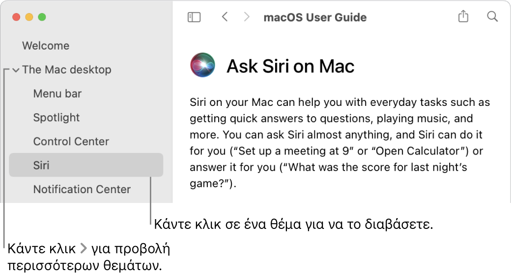 Η προβολή Βοήθειας στην οποία φαίνεται ο τρόπος προβολής θεμάτων στην πλαϊνή στήλη και ο τρόπος εμφάνισης του περιεχομένου ενός θέματος.