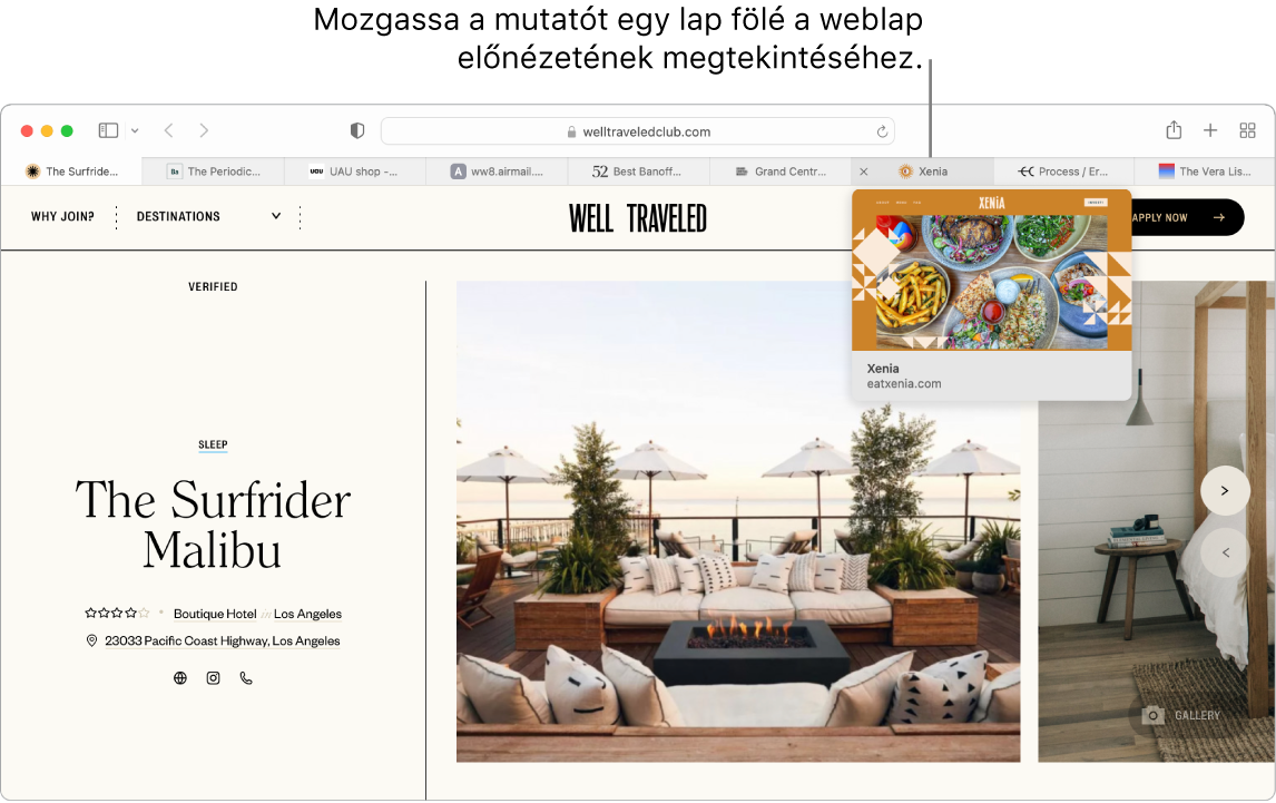 A Safari ablaka a „Well Traveled” című aktív weboldallal, további 9 lappal és a „Grand Central Market” lap előnézetének ábrafeliratával és a következő szöveggel „A mutatót a lap fölé mozgatva megtekintheti a webhely előnézetét”.