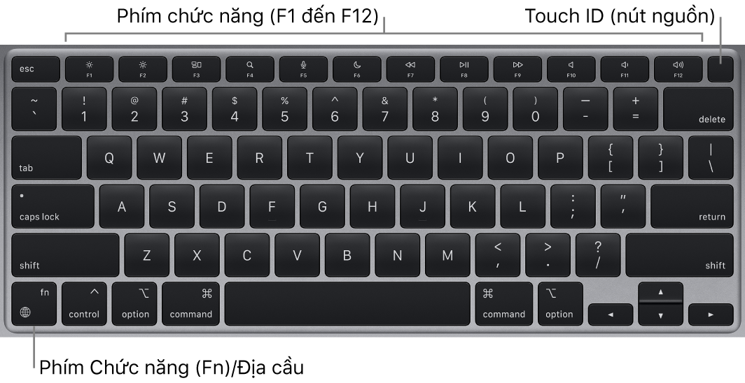 Bàn phím MacBook Air đang hiển thị hàng các phím chức năng, Touch ID, nút nguồn ở trên cùng và phím Chức năng (Fn) ở góc phía dưới bên trái.