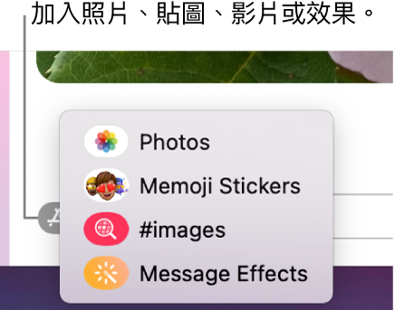 包含顯示照片、Memoji 貼圖、GIF 和訊息效果選項的 App 選單。