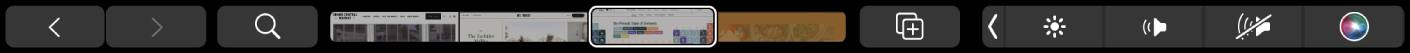 الـ Touch Bar الخاص بتطبيق Safari ويظهر فيه زرا الخلف والأمام، وزر البحث، ومؤشر علامات التبويب، وزر إضافة إشارة مرجعية.