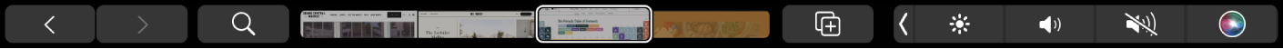 Touch Bar v Safari se šipkami zpět a vpřed, tlačítkem hledání, procházecí lištou panelů a tlačítkem Přidat záložku