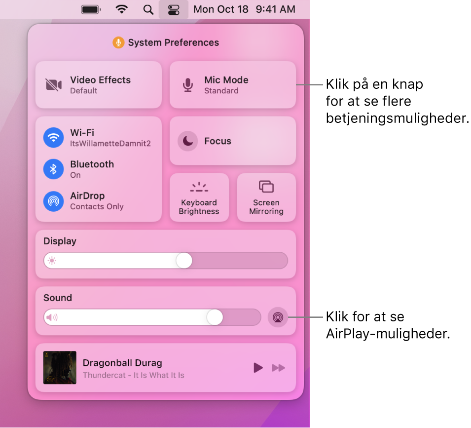 Der er zoomet ind på Kontrolcenter på din Mac, og der er en billedforklaring til knappen Skærm.