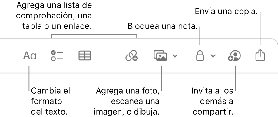 La barra de herramientas de Notas con texto indicando las herramientas de formato del texto, lista de comprobación, tabla, enlace, fotos/medios, bloqueo, compartir y enviar una copia.