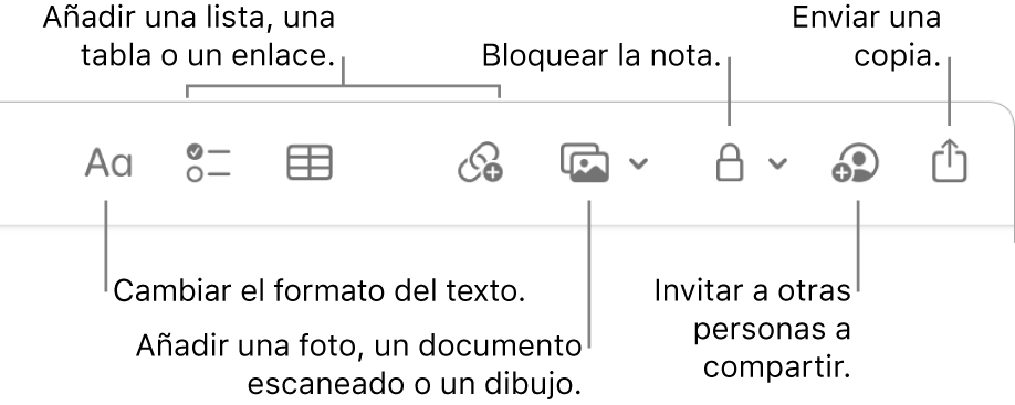 La barra de herramientas de Notas con llamadas a las herramientas de formato de texto, lista de comprobación, tabla, enlace, fotos/contenido multimedia y enviar una copia.
