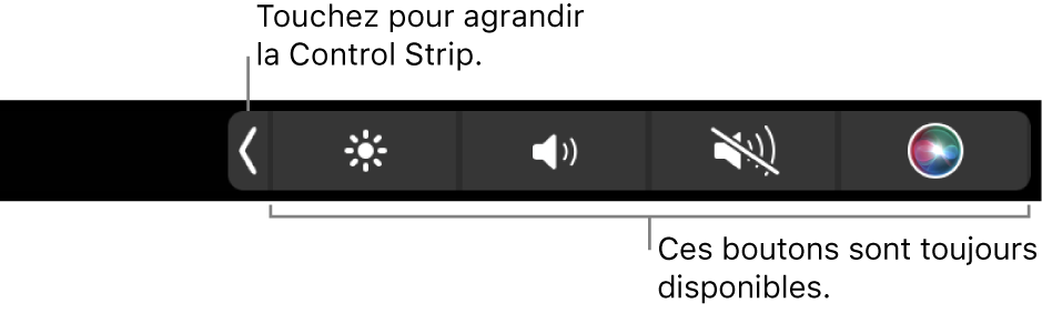 Un écran partiel de la Touch Bar par défaut, affichant la Control Strip réduite. Touchez le bouton de développement pour afficher toute la <NoBreak change_bar="mark">Control Strip</NoBreak>.