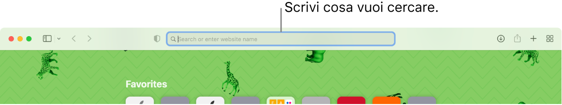 Una finestra ritagliata di Safari con un richiamo al campo di ricerca nella parte superiore della finestra.