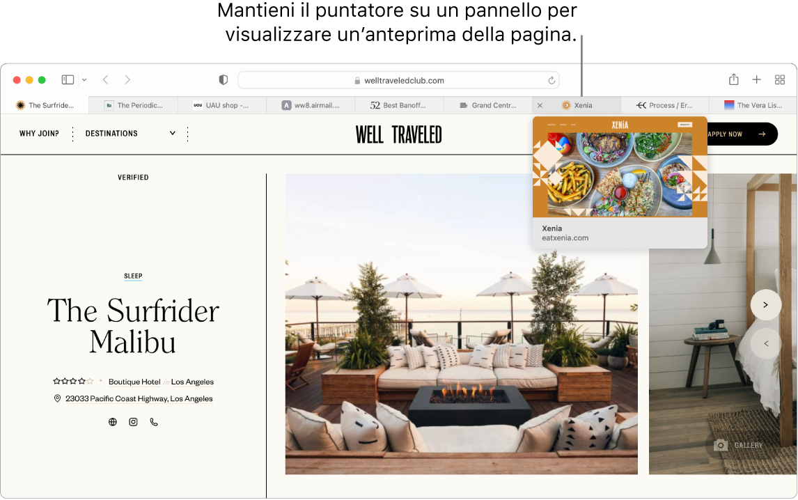 Una finestra di Safari con una pagina web attiva chiamata “Well Traveled”, insieme a 9 schede aggiuntive e una didascalia di un'anteprima del pannello “Grand Central Market” con il testo “Tieni fermo il puntatore su un pannello per visualizzare un'anteprima della pagina web”.