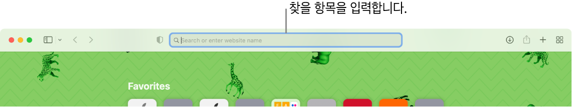 윈도우 상단에 검색 필드에 대한 설명이 있는 잘린 Safari 윈도우.