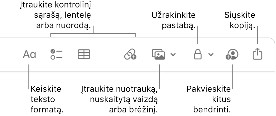 „Notes“ įrankių juosta su išnašomis į teksto formatavimo, kontrolinio sąrašo, lentelės, nuorodos, nuotraukų / turinio, užrakinimo, bendrinimo ir kopijos siuntimo priemones.