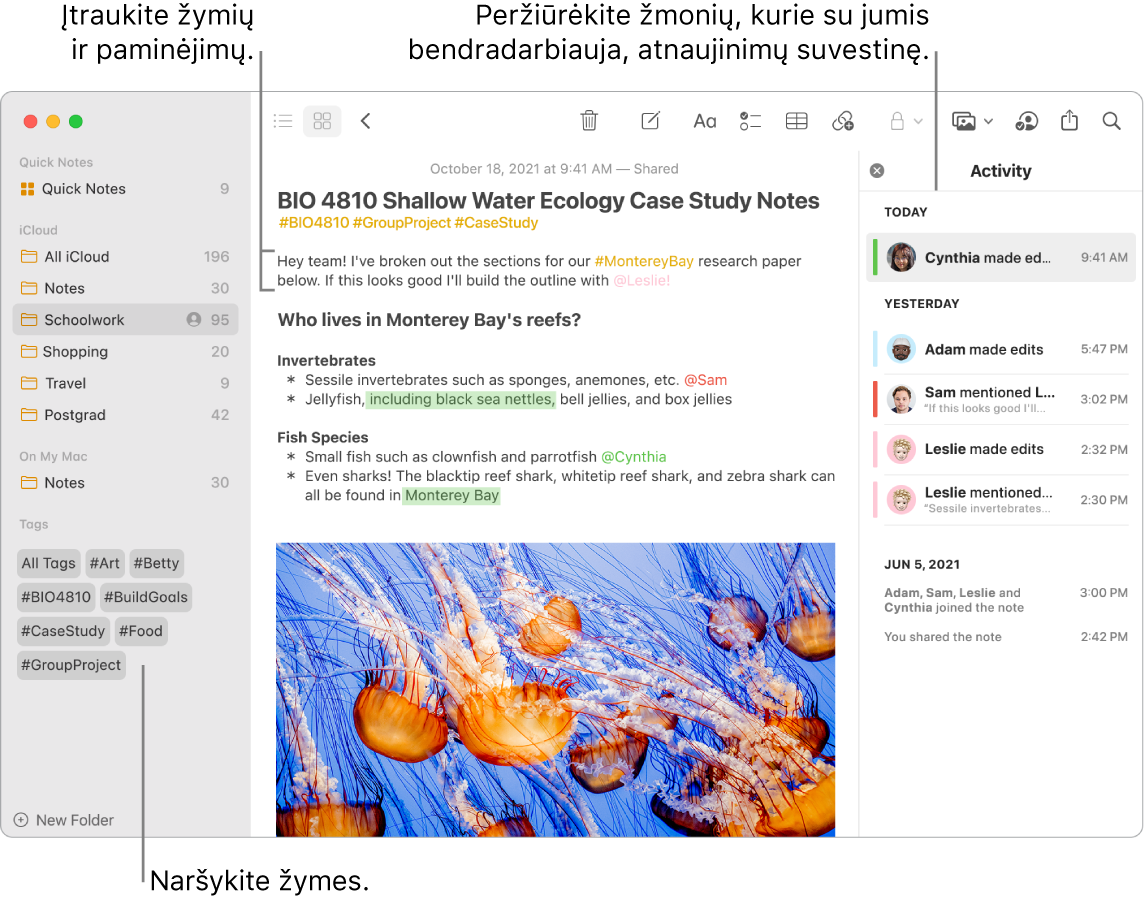 Langas „Notes“ rodinyje „Gallery“ su išnaša į šoninėje juostoje esančias žymes. Pagrindinėje pastaboje yra išnaša į žymę ir paminėjimą. Dešinėje yra veiklos sąrašas su išnaša į naujinimų suvestinės rodinį.