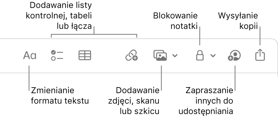 Pasek narzędzi aplikacji Notatki z opisanymi narzędziami do formatowania tekstu, dodawania list kontrolnych, tabel, łączy, zdjęć i multimediów, blokowania notatek, udostępniania ich oraz wysyłania kopii.