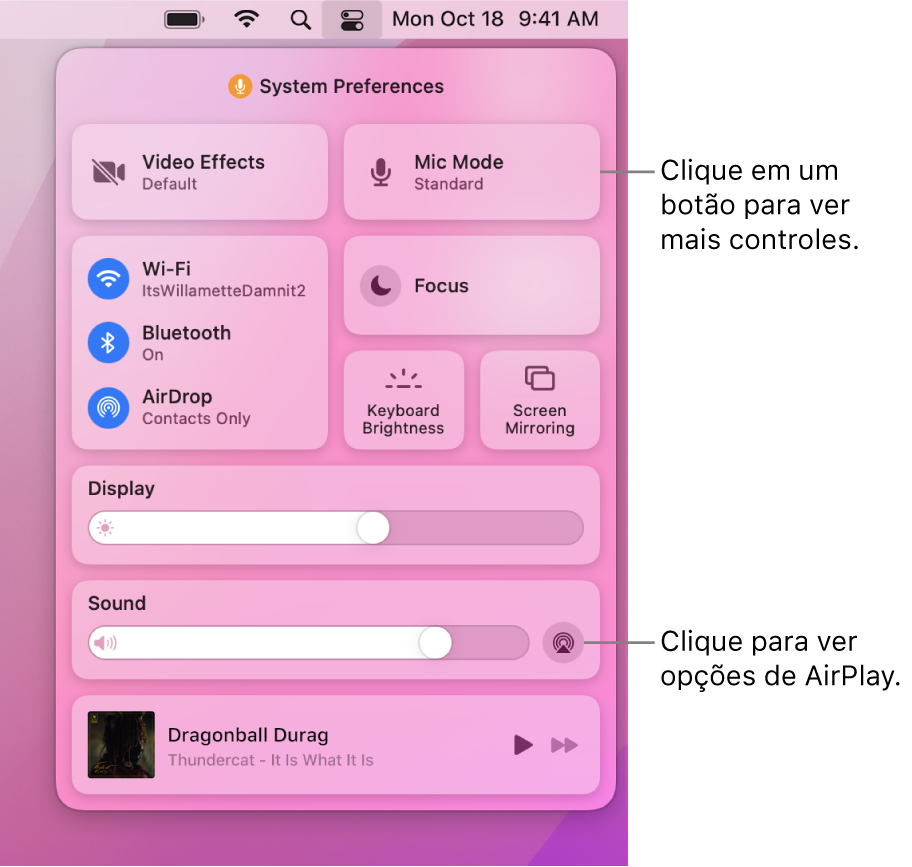 Visualização ampliada da Central de Controle no Mac, com uma chamada para o botão Exibir.