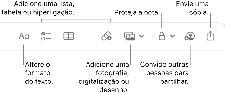 A barra de ferramentas da aplicação Notas com chamadas para ferramentas de formato do texto, lista, tabela, hiperligação, fotografias/multimédia, partilha e enviar uma cópia.