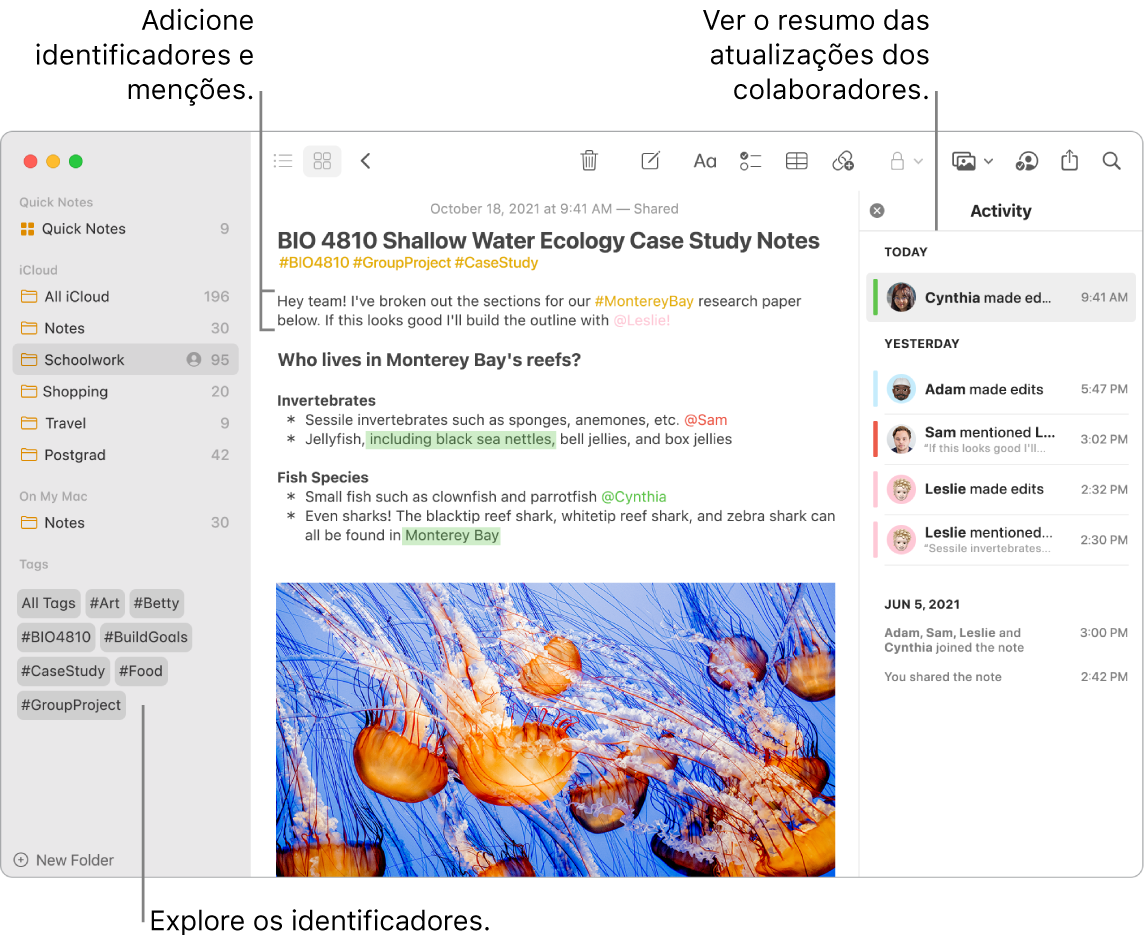 Uma janela da aplicação Notas na vista de galeria com uma chamada para identificadores na barra lateral. Na nota principal, está uma chamada para um identificador e uma menção. À direita está uma lista de atividades com uma chamada para ver um resumo das atualizações.