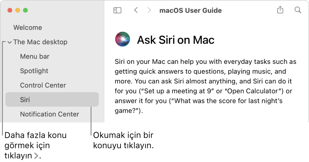 Yardım görüntüleyici, kenar çubuğunda listelenen konuların gösterilmesini ve bir konunun içeriğinin görüntülenmesini gösteriyor.