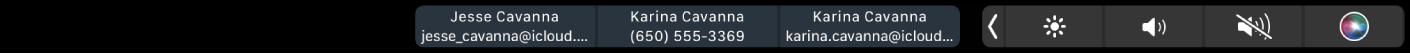 Touch Bar FaceTime đang hiển thị các nút để lấy thông tin về một liên hệ, thực hiện cuộc gọi video hoặc âm thanh hoặc gửi tin nhắn hoặc email.
