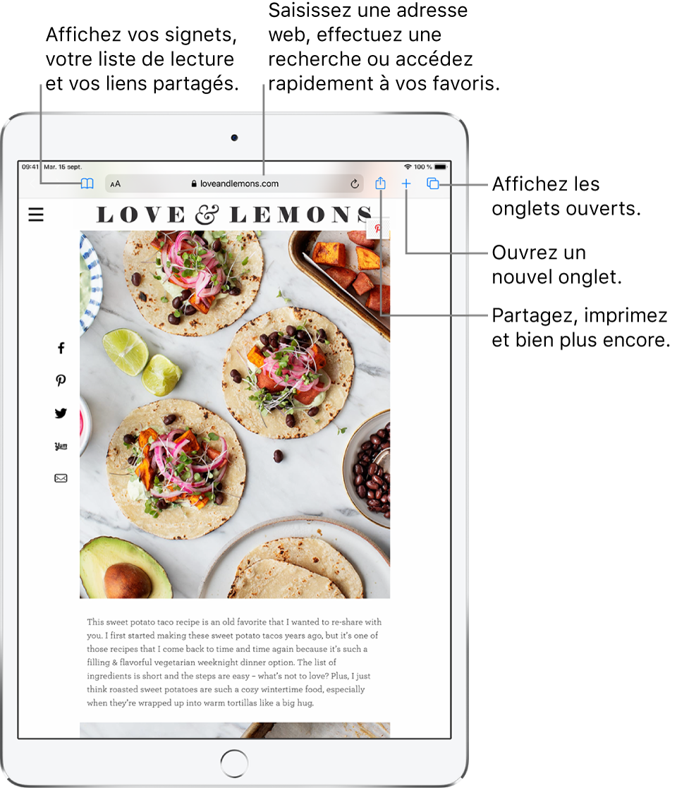 Un page web s’ouvre dans Safari et les commandes suivantes s’affichent en haut, de gauche droite : Les boutons Précédent, Suivant et Signets, le champ d’adresse, ainsi que les boutons Partager, Nouvel onglet et Pages.