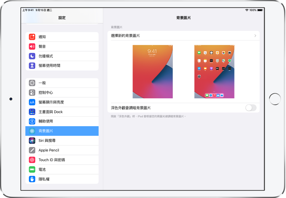 更改ipad 上的背景圖片 Apple 支援