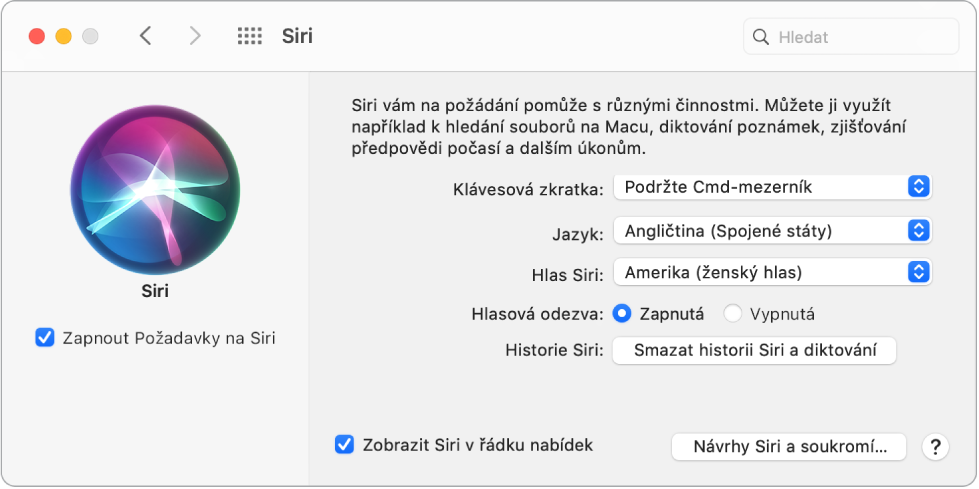 Okno předvoleb Siri s vybranou volbou „Zapnout Požadavky na Siri“ vlevo a s několika volbami přizpůsobení Siri na pravé straně