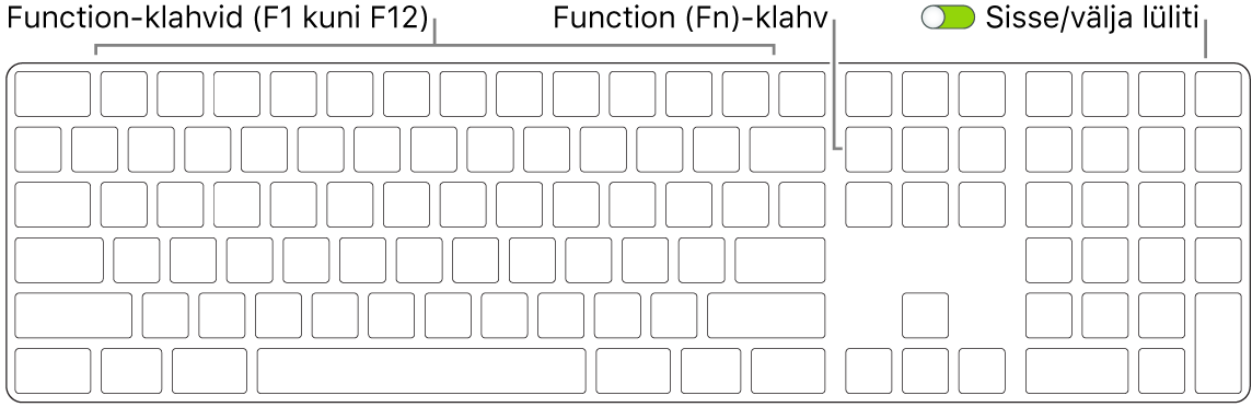 Magic Keyboardi alumises vasakus nurgas on klahv Function (Fn) ning ülemises paremas nurgas sisse-/väljalülitamise lüliti.