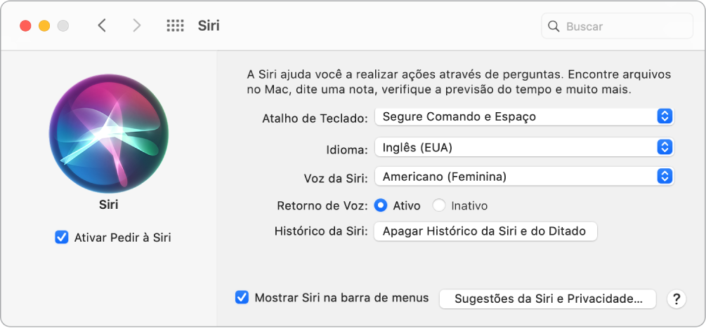 Janela de preferências da Siri com a opção “Ativar Pedir à Siri” selecionada à esquerda e várias opções para personalização da Siri à direita.