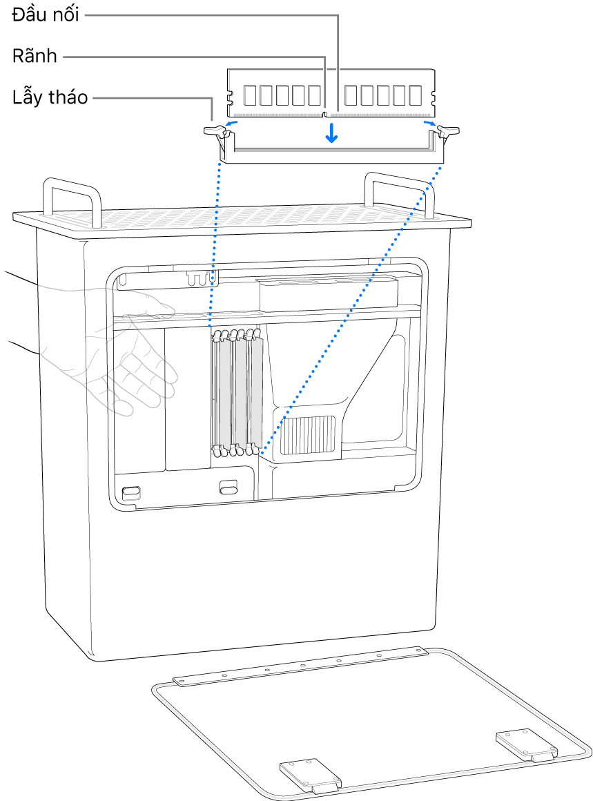 Mac Pro đang được đặt vào đúng vị trí, đang tô sáng các đặc điểm của DIMM.