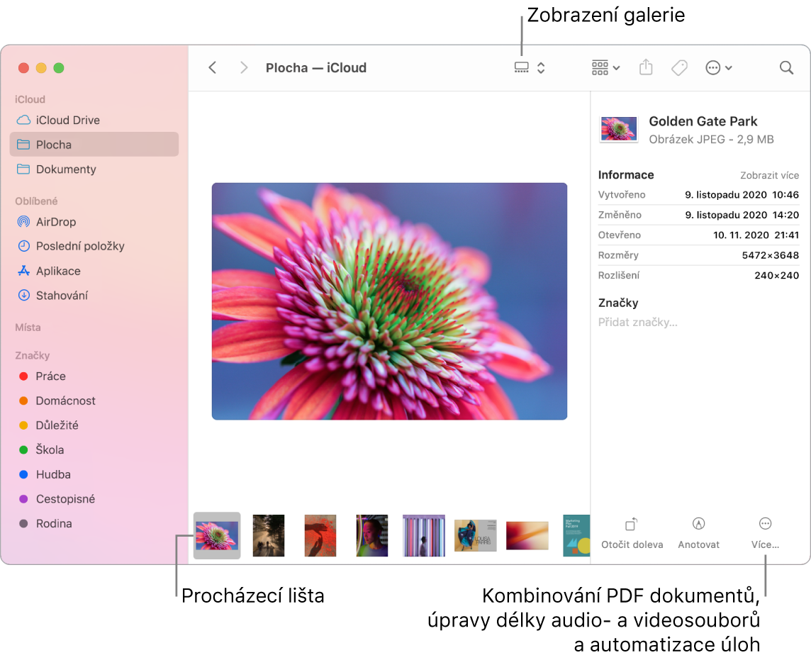 Otevřené okno Finderu se zobrazením galerie, v němž je vidět velká fotka a pod ní řádek menších fotek – procházecí lišta. Napravo od procházecí lišty jsou ovládací prvky pro otáčení, vytváření a úpravy anotací a další akce.