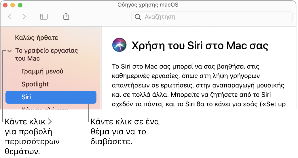 Η προβολή Βοήθειας στην οποία φαίνεται ο τρόπος προβολής θεμάτων στην πλαϊνή στήλη και ο τρόπος εμφάνισης του περιεχομένου ενός θέματος.