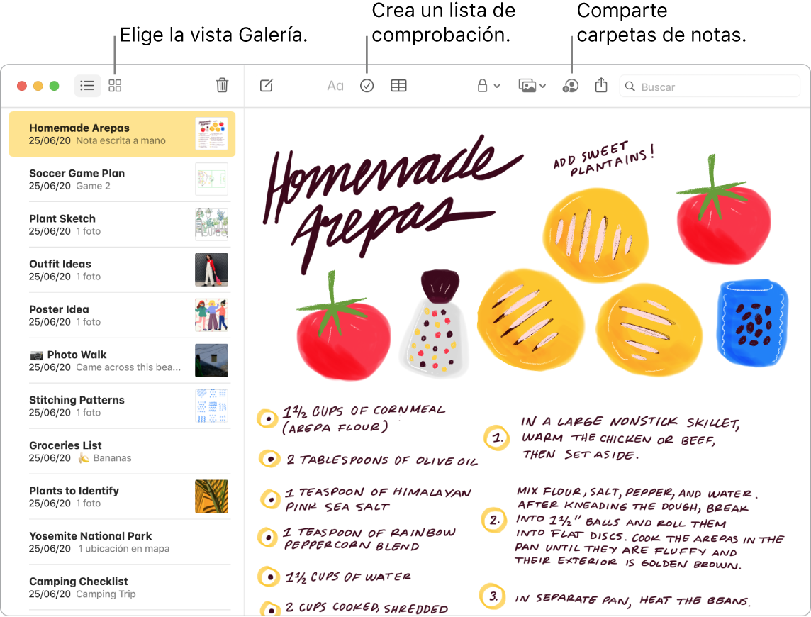 Ventana de la app Notas en la vista Galería con textos que indican los botones “Visualización como galería”, “Lista de comprobación” y “Compartir carpeta”.
